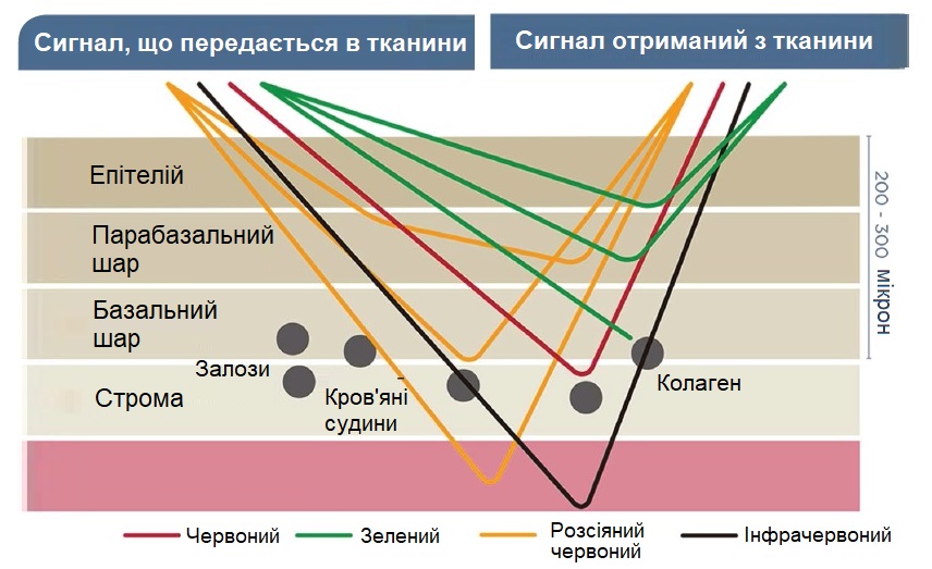 Діагностична система TruScreen